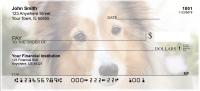 Shetland Sheepdog Personal Checks | DOG-109