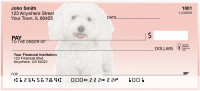 Adorable Bichons Personal Checks | DOG-31