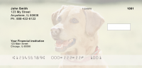 Majestic Yellow Lab Personal Checks | DOG-56