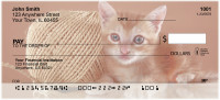 Cute Kittens Personal Checks | EVC-48