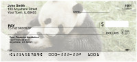 Panda Bears Personal Checks | EVC-78