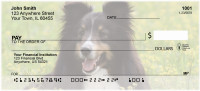 Sheltie Dog Personal Checks | EVC-86