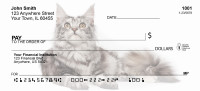 Maine Coon Cats Personal Checks | GCA-10
