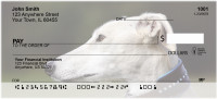 Greyhound Personal Checks | GCA-29