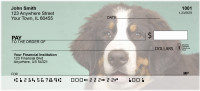 Bernese Mountain Dog Personal Checks | GCB-06