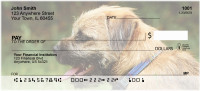 Border Terrier Personal Checks | GCB-07