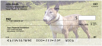 Bull Terrier Personal Checks | GCB-16