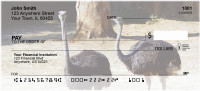 Ostrich Personal Checks | GCS-04