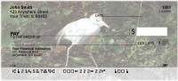 Cattle Egrets Personal Checks | GCS-16