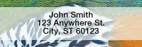 Fun Feathers Rectangle Address Labels | LRABS-05