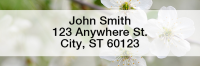 In Full Bloom Address Labels | LRFLO-005