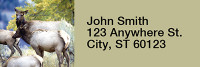More Elk Rectangle Address Labels | LRRANI-23