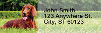 Irish Setter Rectangle Address Labels | LRRDOG-38