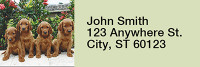 Irish Setter Rectangle Address Labels | LRRDOG-38
