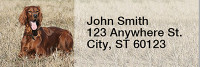 Irish Setter Rectangle Address Labels | LRRDOG-38