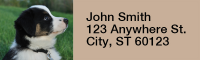 Australian Shepherd Rectangle Address Labels | LRRDOG-92