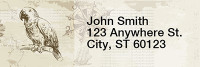 Pirates Rectangle Address Labels | LRROPC-12