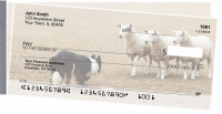 Border Collie at Work Side Tear Checks | STDOG-46