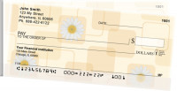 Daisies | STOPC-05
