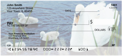 Ducklings in Spring Personal Checks | ANI-63