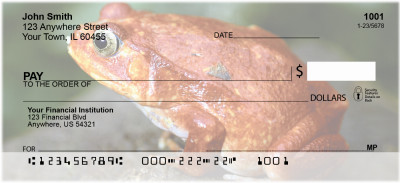 Funky Frogs Personal Checks | ANI-76