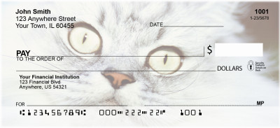 My Point of View Personal Checks | ANI-86