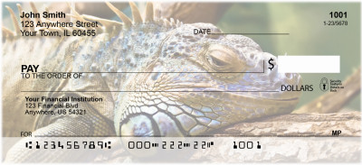 Iguana Be Cool | ANI-89