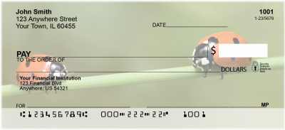 Lovely Ladybugs Personal Checks | ANJ-10