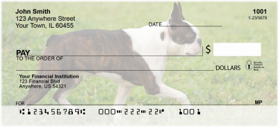 Boston Terrier Personal Checks | DOG-47