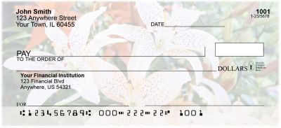 Stargazers Personal Checks | EVC-13