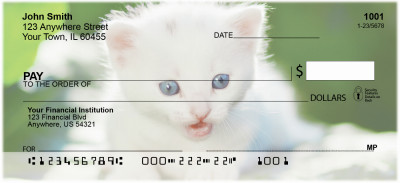 Cute Kittens Personal Checks | EVC-48
