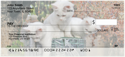 Kittens At Play Personal Checks | EVC-65