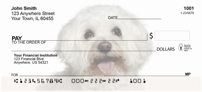 Bichon Frise Personal Checks | GCA-34