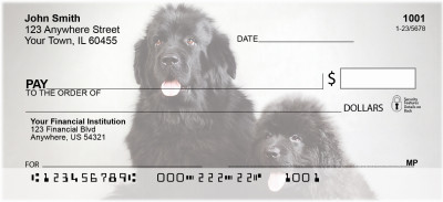 Newfoundland Personal Checks | GCA-73