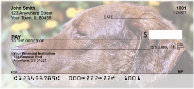 Chesapeake Bay Retriever Personal Checks | GCA-75