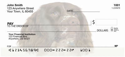English Springer Spaniel Personal Checks | GCB-41