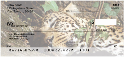 Nap Time at the Zoo Personal Checks | GCS-12