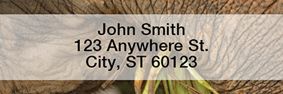 Elephants Up Close and Personal Rectangle Address Labels | LRANI-69