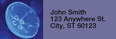 Jellyfish Rectangle Address Labels | LRRANI-37