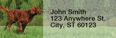 Irish Setter Rectangle Address Labels | LRRDOG-38