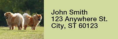 Chow Chow Rectangle Address Labels | LRRDOG-49