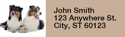 Australian Shepherd Rectangle Address Labels | LRRDOG-92