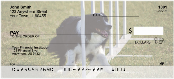 Agility Border Collies Personal Checks | DOG-45