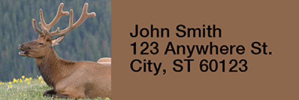 More Elk Rectangle Address Labels | LRRANI-23