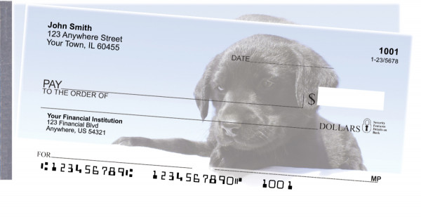 Black Lab Puppies Side Tear Checks | STDOG-53